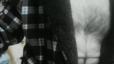 Snapshot of feardubh chatting on 03.12.26 feardubh online show from 03.12.26