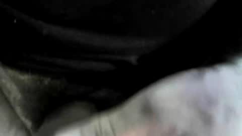 felicaste online show from 10.15.25