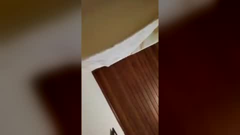 felipebh385495 online show from 06.29.26