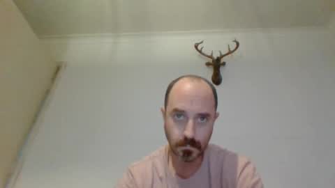 Snapshot of felipesmg2 chatting on 11.17.25 felipesmg2 online show from 11.17.25