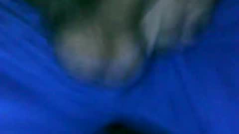 fer_2197 online show from 01.23.25