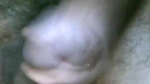 fer_2197 online show from 10.31.25