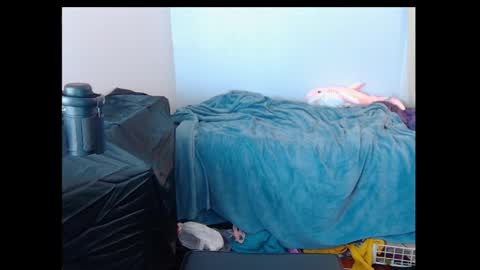 FE fee online show from 01.02.25