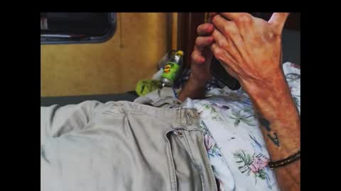 ferra_testarossa online show from 10.09.25