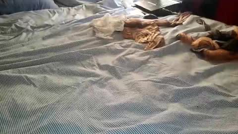 ffst0ckings online show from 12.25.24