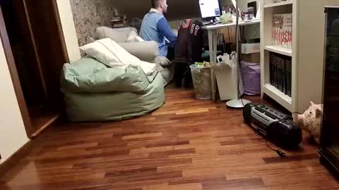 Fid online show from 02.17.25