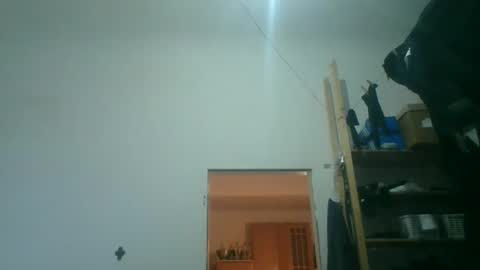 fine_nice online show from 10.18.25