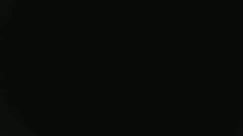 Fish online show from 01.16.25