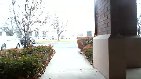 Snapshot of fit_hung_sub chatting on 12.16.24 pain slut daren online show from 12.16.24