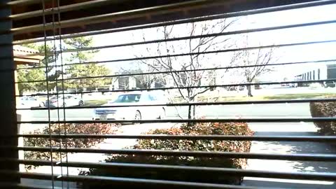 Snapshot of fit_hung_sub chatting on 01.09.25 pain slut daren online show from 01.09.25