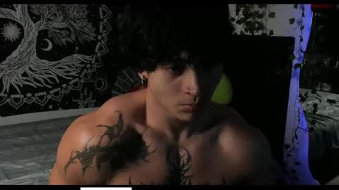 David hotman online show from 11.14.25