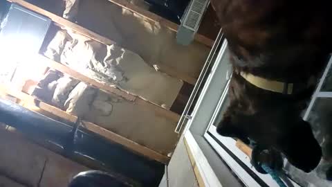 Nate online show from 09.25.25