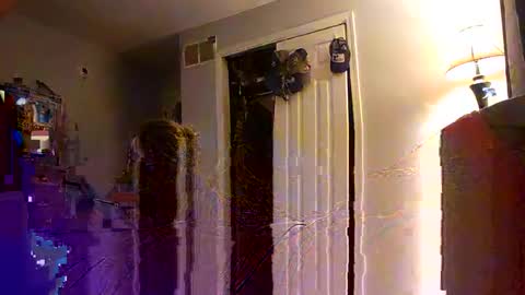 Nate online show from 10.11.25