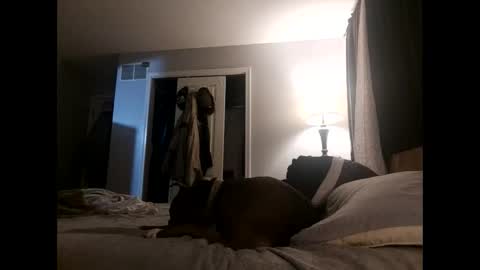 Nate online show from 11.02.25