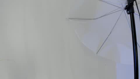 Snapshot of flavia_cruz chatting on 01.11.26 Flavia online show from 01.11.26