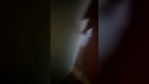 Ive Retired From Camming  online show from 02.12.26