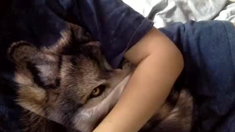 floraexploration online show from 12.22.24