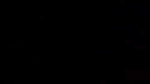 floridaman320 online show from 10.08.25