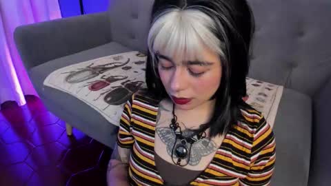 Its a pleasure to meet you. Im Flower. Help me reach 1k. Follow me. online show from 03.23.26