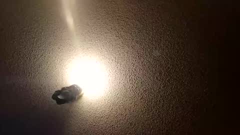 flyyguy69 online show from 01.11.26