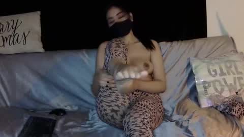 Fogbunny online show from 12.15.24