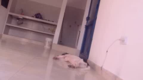 Snapshot of forbidden_games__ chatting on 12.27.24 emely and felix online show from 12.27.24