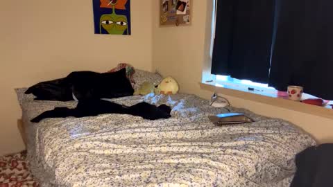 beautiful blair online show from 01.09.25