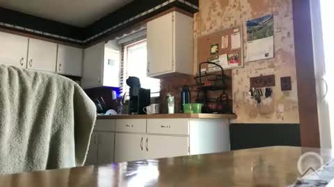 Frank online show from 04.08.26