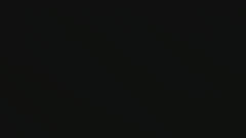franksterweez online show from 05.02.26