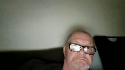 Wolfi online show from 02.23.26