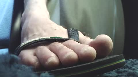 Greedy Fred online show from 03.20.26