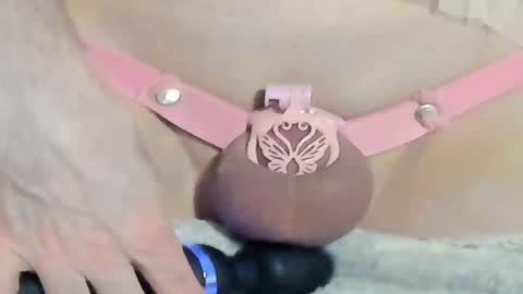 Meadow online show from 12.28.24