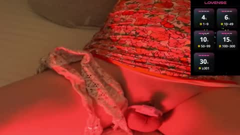 Meadow online show from 12.29.24