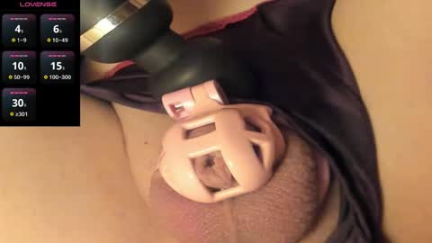 Meadow online show from 01.11.25