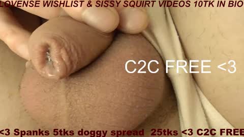 Meadow online show from 02.09.26