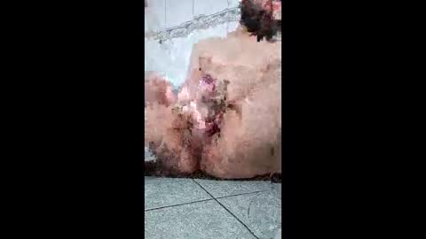 friendshipplus online show from 02.25.26