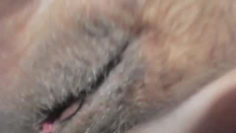 FrumCake online show from 01.10.25