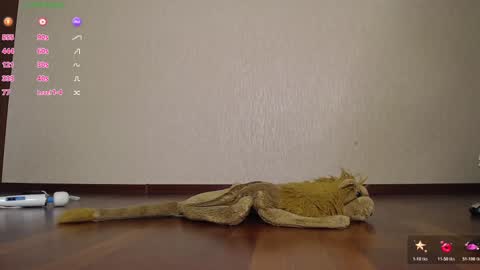 fuckingalice online show from 11.12.25