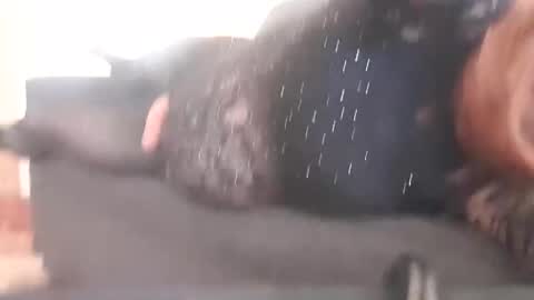 Pizzaz online show from 12.29.24