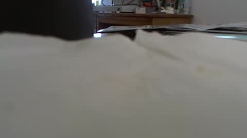 funone8848 online show from 01.13.25