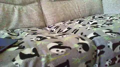 Funslimguy online show from 12.30.24