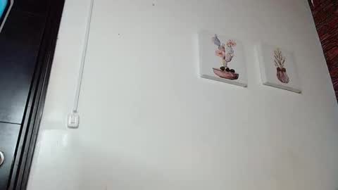 Snapshot of fyreandfox_ chatting on 03.04.25 FIRE AND FOX online show from 03.04.25