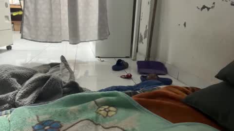 gab021593 online show from 12.22.25