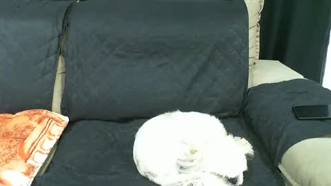 gaby  layla online show from 01.21.25