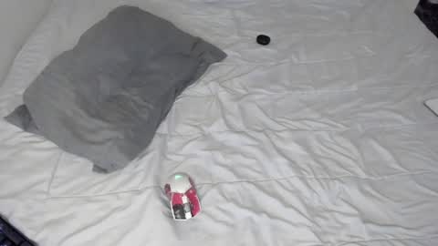 Snapshot of gabriel_olx chatting on 01.24.25 gabriel online show from 01.24.25