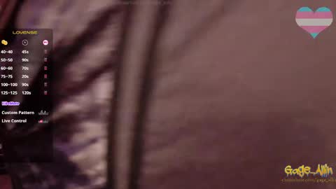 Gage Allin AKA Alpha Pussy online show from 04.09.26