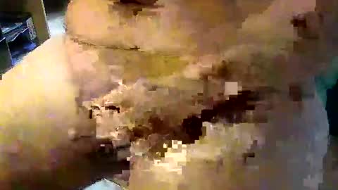 Stutzen online show from 09.17.25