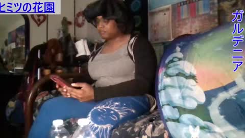 Gardenia online show from 12.12.24