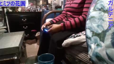 Gardenia online show from 12.29.24