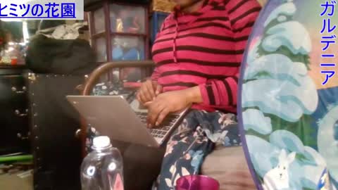 Gardenia online show from 01.05.25